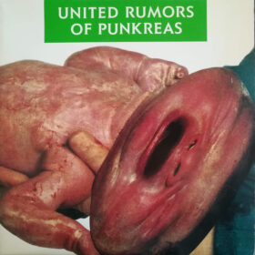 PUNKREAS - "United Rumors Of Punkreas" LP
