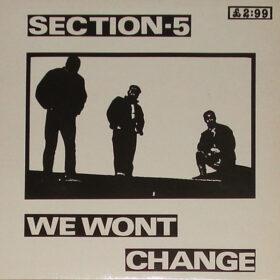 SECTION 5 - "We Won't Change" LP
