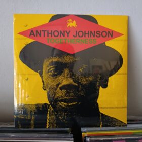 Anthony Johnson - Togetherness LP