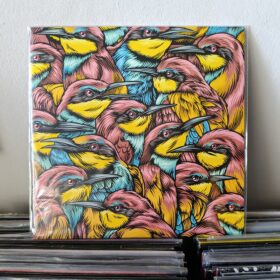 Pegs - Oscurità LP